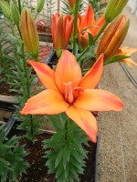 [5707 DJ AZ-06 No02.JPG]